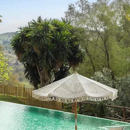Bed and breakfast La Familia Naranja