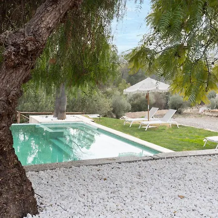 Bed and breakfast La Familia Naranja